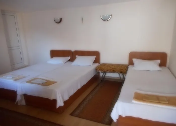 Borisov * Шабла