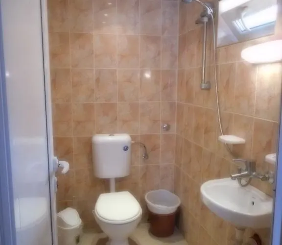 Къща за гости Borisov