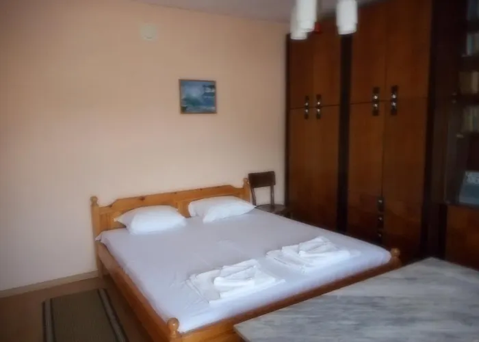 Къща за гости Borisov *